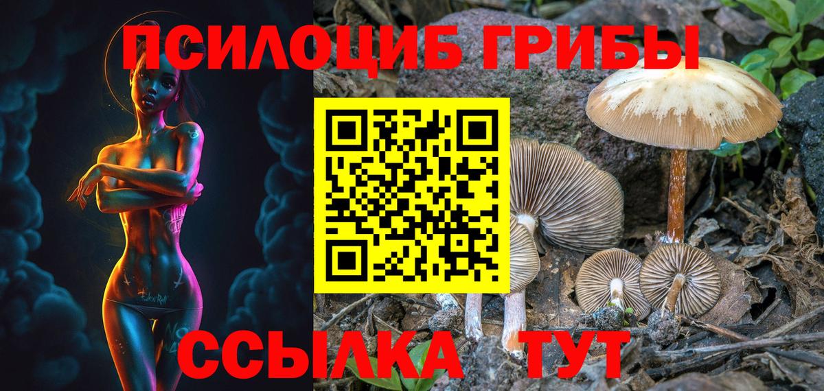 Псилоцибиновые грибы MAGIC MUSHROOMS  Вход с VPN  Псилоцибиновые грибы MAGIC MUSHROOMS  Надым 